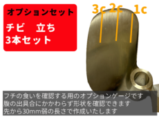 ryouichi_gage_03