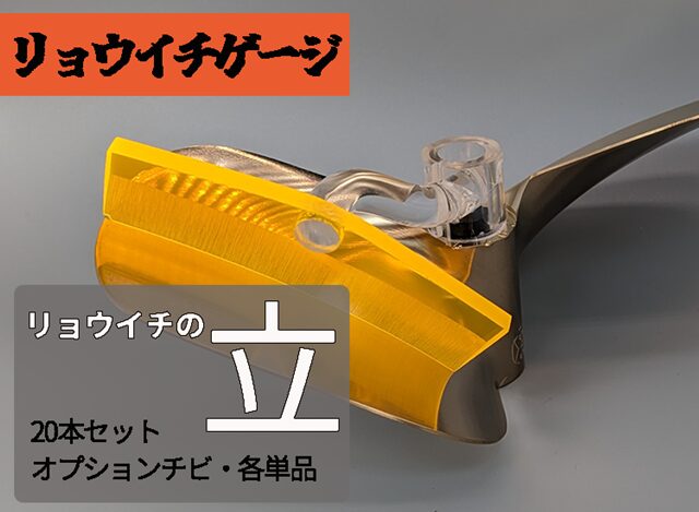ryouichi_gage_tachi